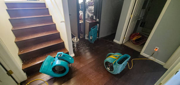 Best Emergency water damage restoration  in Ucon, ID